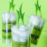 Cake Push Pops Containers - Daisy Shape x 50