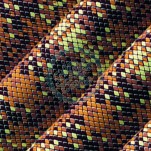 Chocolate Transfer Sheets - Snake Skin x 15