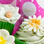 Sugar and Crumbs - Pistachio Natural Flavoured Icing Sugar 250g