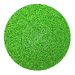 Sprinkles-Spring Green Non Pareils 80g